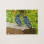 Baby Barn Swallows Natuur Fotografie Legpuzzel (Horizontaal)