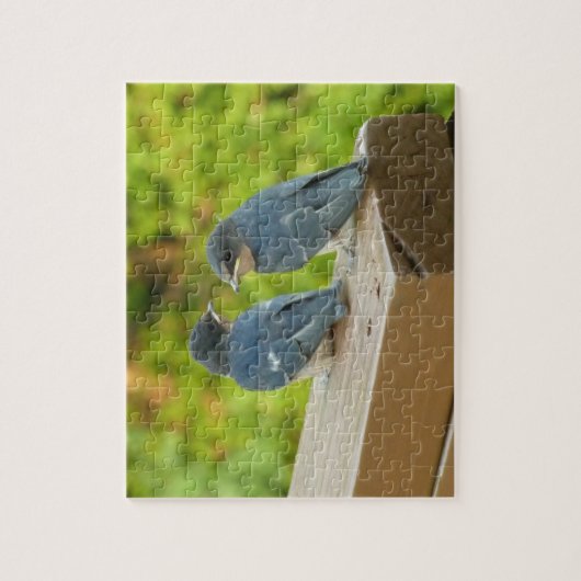 Baby Barn Swallows Natuur Fotografie Legpuzzel (Verticaal)