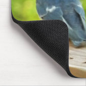 Baby Barn Swallows Natuur Fotografie Muismat (Hoek)