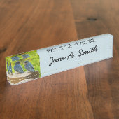 Baby Barn Swallows Natuur Fotografie Naambordje (Zijkant)