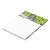 Baby Barn Swallows Natuur Fotografie Notitieblok (Linkerzijde)