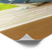 Baby Barn Swallows Natuur Fotografie Poster (Hoek)