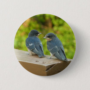 Baby Barn Swallows Natuur Fotografie Ronde Button 5,7 Cm