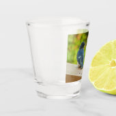 Baby Barn Swallows Natuur Fotografie Shot Glas (Links)