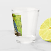 Baby Barn Swallows Natuur Fotografie Shot Glas (Rechts)