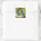 Baby Barn Swallows Natuur Fotografie Vierkante Sticker (Tas)