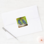 Baby Barn Swallows Natuur Fotografie Vierkante Sticker (Envelop)