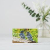 Baby Barn Swallows Natuur Fotografie Visitekaartje (Staand voorkant)