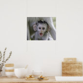 Baby baviaan onder zijn moeder poster (Keuken)