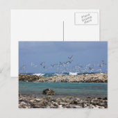 Baby Beach Briefkaart (Voorkant / Achterkant)