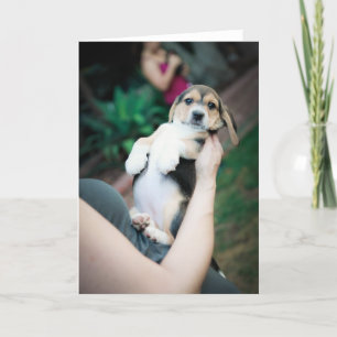 Baby Beagle Belly Kaart