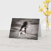 Baby Beagle Bottom Kaart (Gele Bloem)