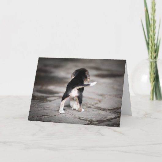 Baby Beagle Bottom Kaart (Voorkant)