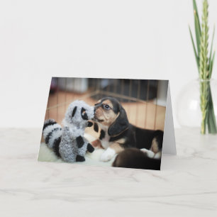 Baby Beagle en haar nieuwe Speelgoed Kaart