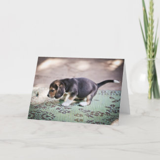 Baby Beagle en Leaf Kaart