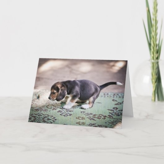Baby Beagle en Leaf Kaart (Voorkant)