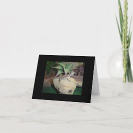 Baby Bearded Dragon Blank Notecard Kaart