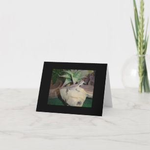 Baby Bearded Dragon Blank Notecard Kaart