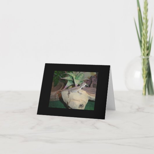 Baby Bearded Dragon Blank Notecard Kaart (Voorkant)