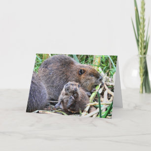 Baby Beaver en familiefoto Kaart