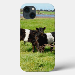 Baby Belted Galloway Calves, iPhone 13 Hoesje