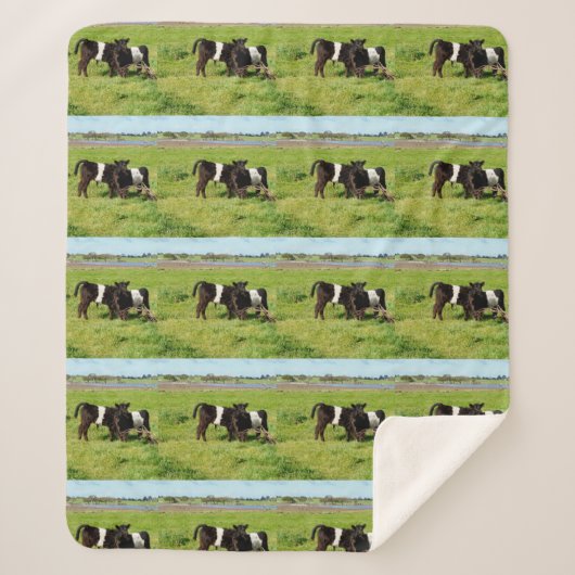 Baby Belted Galloway Calves, Med Sherpa Blanket Deken (Voorkant)