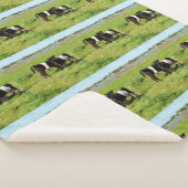 Baby Belted Galloway Calves, Med Sherpa Blanket Sherpa Deken (3/4)