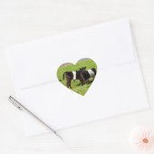 Baby Belted Galloway Koeien, hart Sticker (Envelop)