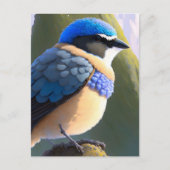 Baby bergen Bluebird, Postkruising Briefkaart (Voorkant)