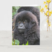 Baby berggorilla kaart (Gele Bloem)
