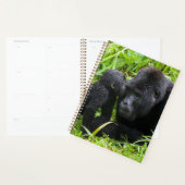 Baby berggorilla kust zilverruggorilla planner (Display)
