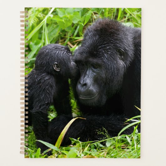 Baby berggorilla kust zilverruggorilla planner (Voorkant)