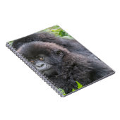 Baby berggorilla notitieboek (Rechterzijde)
