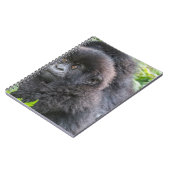 Baby berggorilla notitieboek (Linkerzijde)