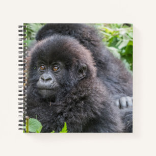 Baby berggorilla notitieboek