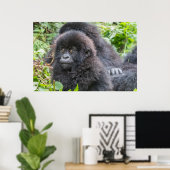 Baby berggorilla poster (Thuiskantoor)