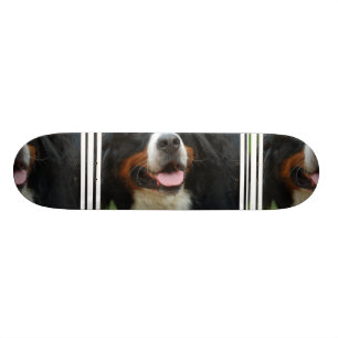 Baby Bernese Mountain Dog Skateboard