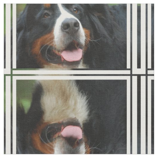 Baby Bernese Mountain Dog Stof (Close Up)