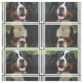 Baby Bernese Mountain Dog Stof (Swatch)