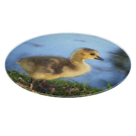 Baby bestuur snijplank (Hoek)