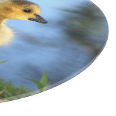 Baby bestuur snijplank (Hoek)