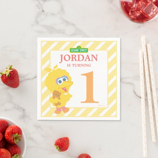 Baby Big Bird Birthday Paper Napkins Servetten (Insitu)