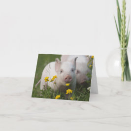 Baby biggetje in het veld van gele bloemen kaart