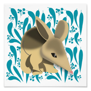 Baby Bilby Foto Afdruk