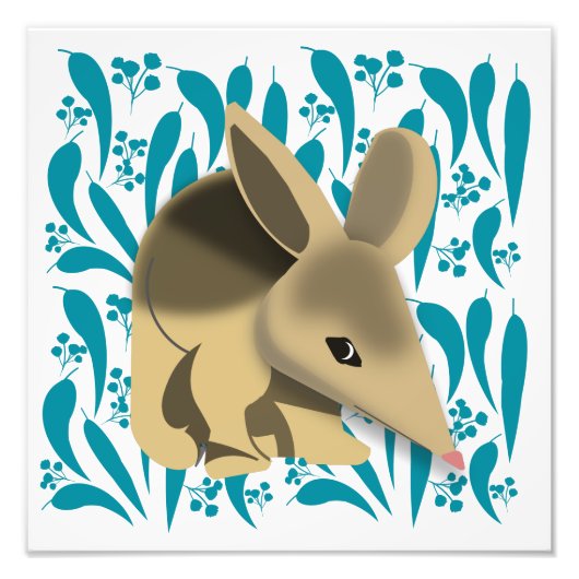 Baby Bilby Foto Afdruk (Voorkant)