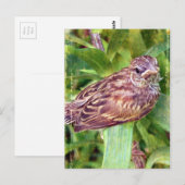 Baby Bird Briefkaart (Voorkant / Achterkant)