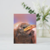 Baby Bird Briefkaart (Staand voorkant)