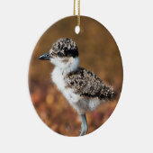 Baby Bird Keramisch Ornament (Rechts)