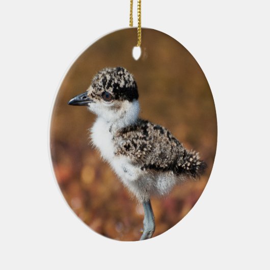 Baby Bird Keramisch Ornament (Rechts)