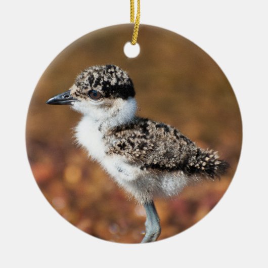 Baby Bird Keramisch Ornament (Voorkant)